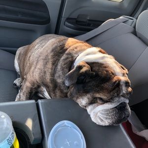 Meet your Posher, Kyle